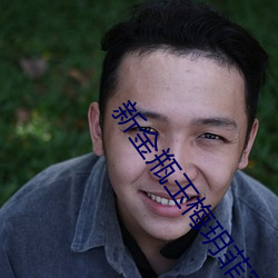 新金瓶玉梅玥菲完整版