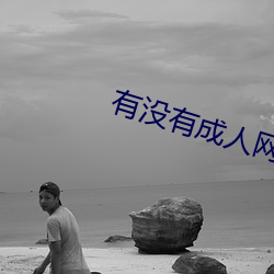 有没有成人(rén)网站