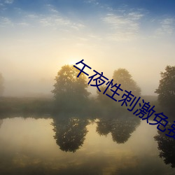 午(wǔ)夜性(xìng)刺(cì)激免(miǎn)费看视频