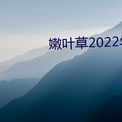 Ҷ2022ȫµַ Űܻ