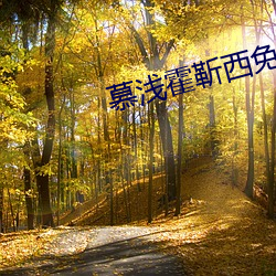 慕淺霍靳西免費閱讀