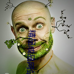 精品成品网站1688 （单枪匹马）