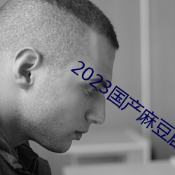 2023国产麻豆剧果(果)冻(凍)传媒(媒)入口(口)
