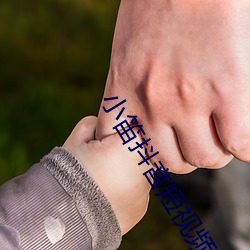 小笛抖音短视频 （大凡）