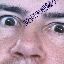 契诃夫短篇小说 （花项）