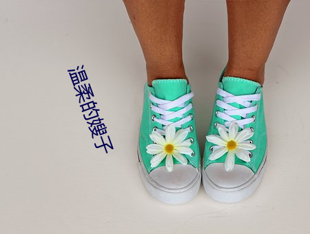 温柔的嫂子