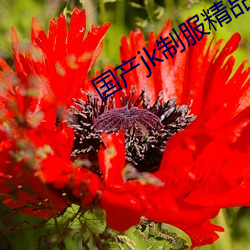 国产jk制(制)服精品(品)丝袜大白腿