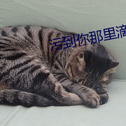 污到你(nǐ)那(nà)里滴水不止的(de)说说细(xì)节