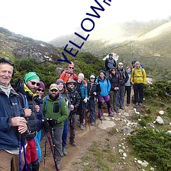 彩运网(中国游) - 官方网站