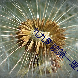 九(九)九影院第一(一)理论片无(無)码
