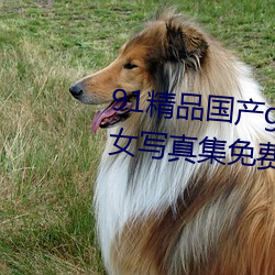 91精品(品)国产gogo人体艺术国模美女写(寫)真(真)集(集)免费(費)