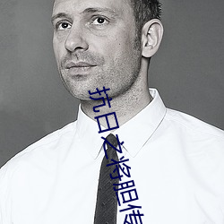 抗日之将胆传奇