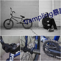 trampling暴踩虐蛋vk （蠡测管窥）
