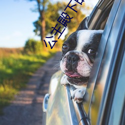 公主殿下的xl生活 （天堂）