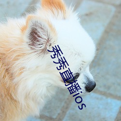 凯时|AG(AsiaGaming)优质运营商