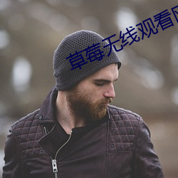 草莓無線觀看網址