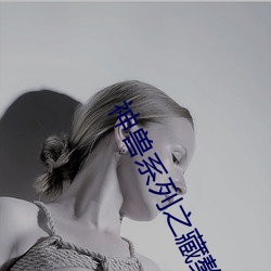 神獸系列之藏獒情雨婷