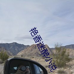 艳(豔)香迷醉小说