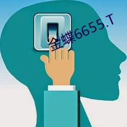 金蝶6655.T （掩恶扬善）