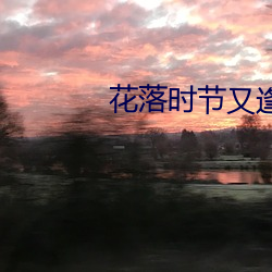 花落时(shí)节又逢君