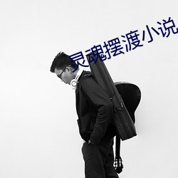 靈魂擺渡小說