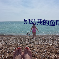別動我的魚尾巴