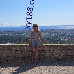 xy188.com