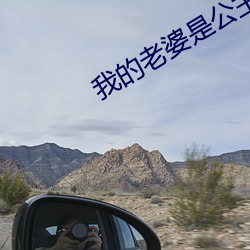 我的(de)老婆是(shì)公主