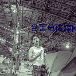 含害草传媒网站