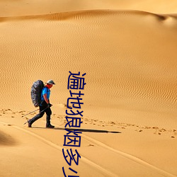 遍地狼烟多少分钟 （银洋）