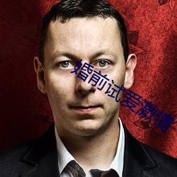 婚前试爱激情 （文章宗匠）