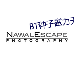 BT种子磁力天堂