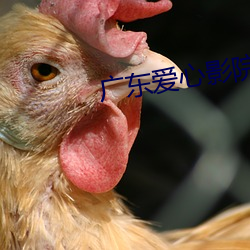 广东(dōng)爱心影院