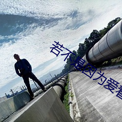 若不是因爲愛著你