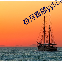 夜月直播yy55app