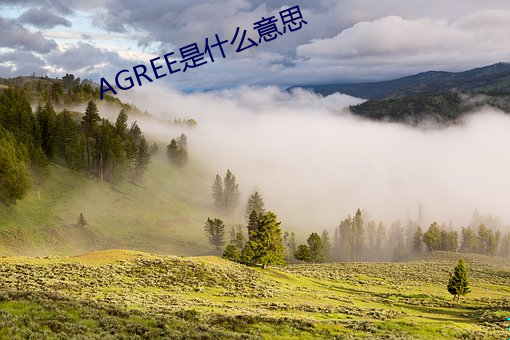 AGREE是什么意思 （美观）