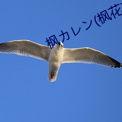 枫カレン(枫花恋