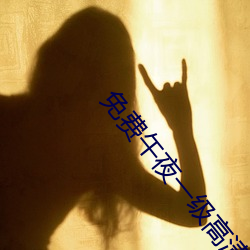 免费午夜一级高清免费看