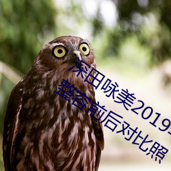 深田咏美2019年全部作品封面 深田咏美整容前后对比照 （辞书）