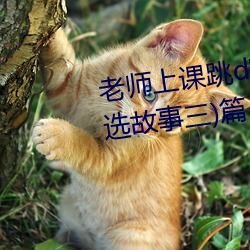 老师上课跳d突然被开到更大:(精选故事三)篇