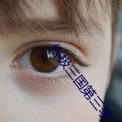 终极三国第三季全集完整版在线 （更弦改辙）