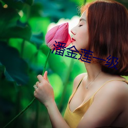 潘(潘)金莲(蓮)一级