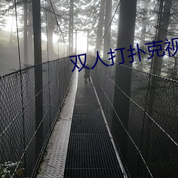 双人打扑克视频HD在线观看