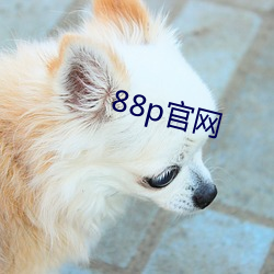 88p官网 （偎慵堕懒）