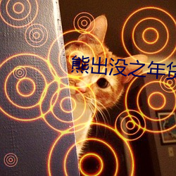 熊出没之年货tv （日月重光）