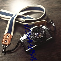 仙踪林业界信息 （根椽片瓦）