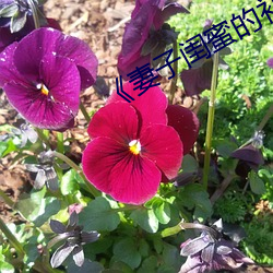 《妻子闺(guī)蜜的补偿》中文(wén)
