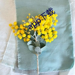 app下(xi)载