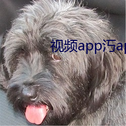 视频app汅api进入窗口网站