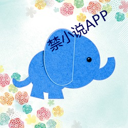 禁小说APP （舍己芸人）